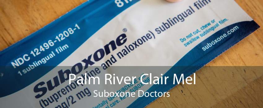 Palm River Clair Mel Suboxone Doctors